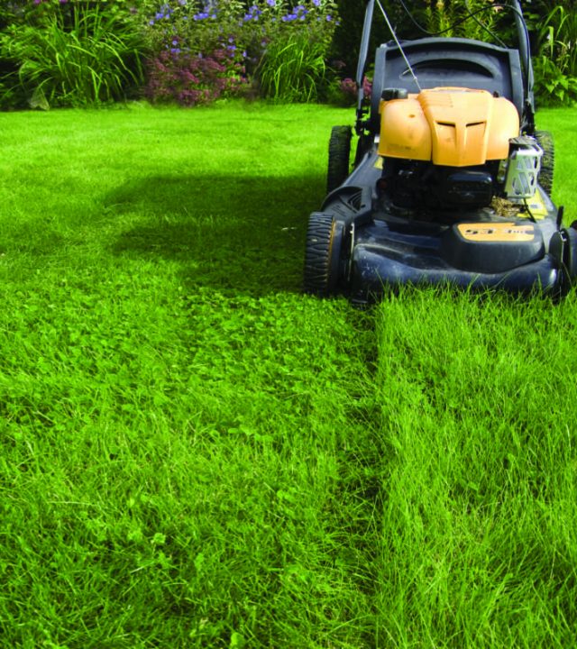 Lawnmax Garden Service